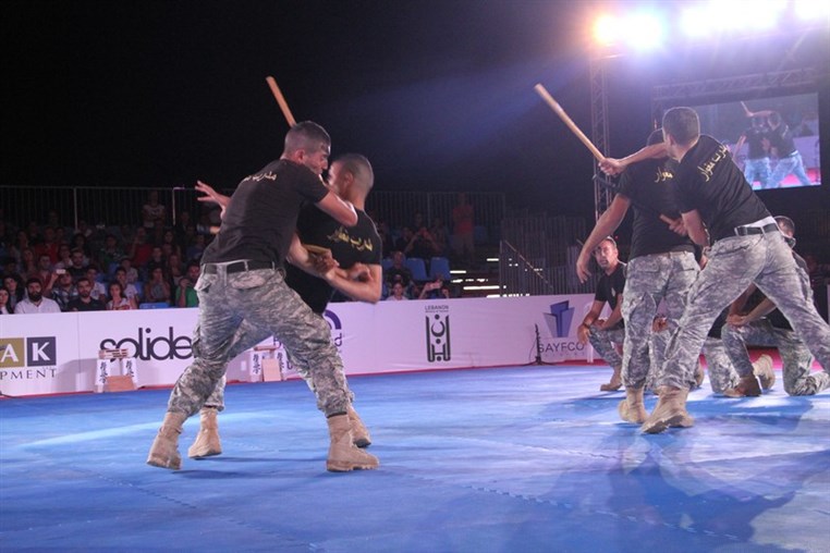 Martial Arts Festival